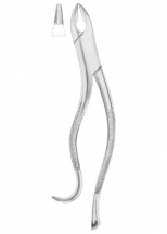 KELLS Fig. 99A upper incisors, canines, premolars 